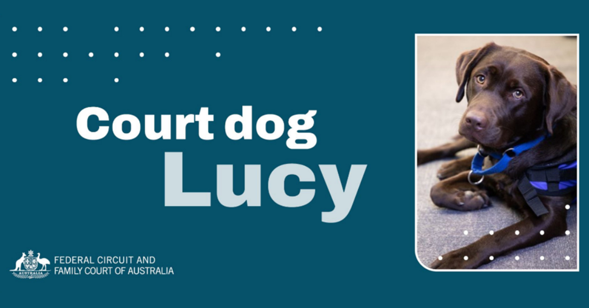 family court dog lucy